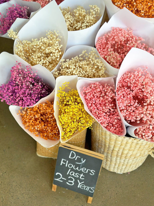 Celebrate Every Moment with Fresh & Dried Flowers from Prahran’s Florist