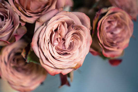 Timeless Flowers for an Ageless Love: Mother’s Day Gifting Made Beautiful