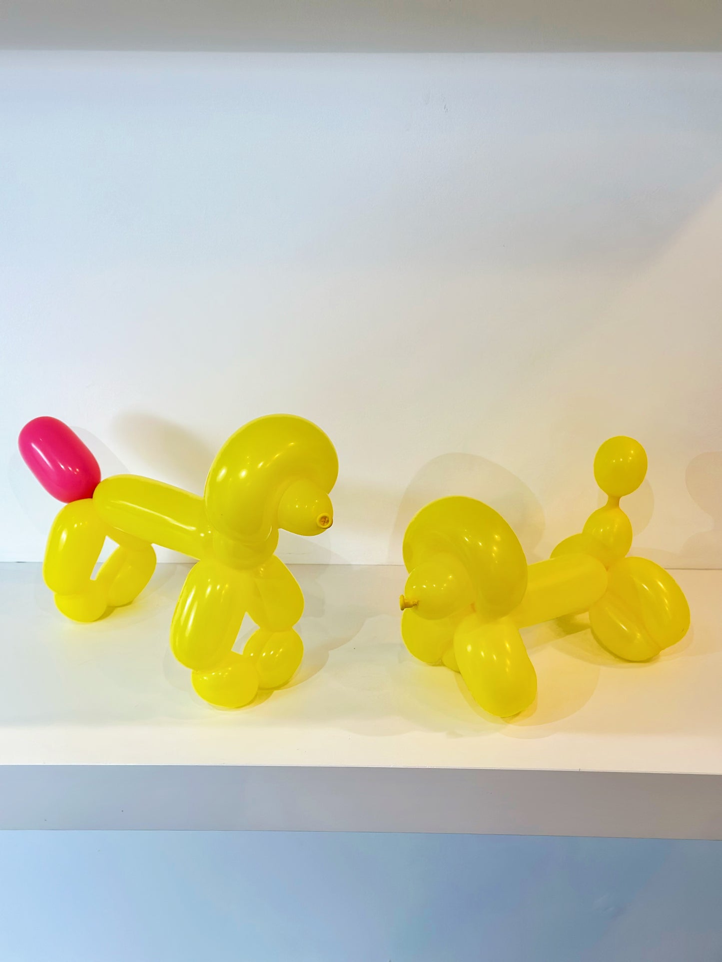 Dog Balloon