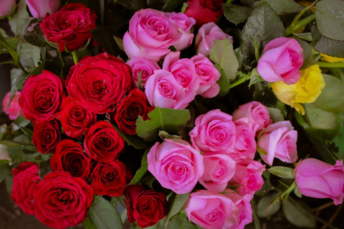 Best Valentine’s Day Flowers to Impress Your Partner