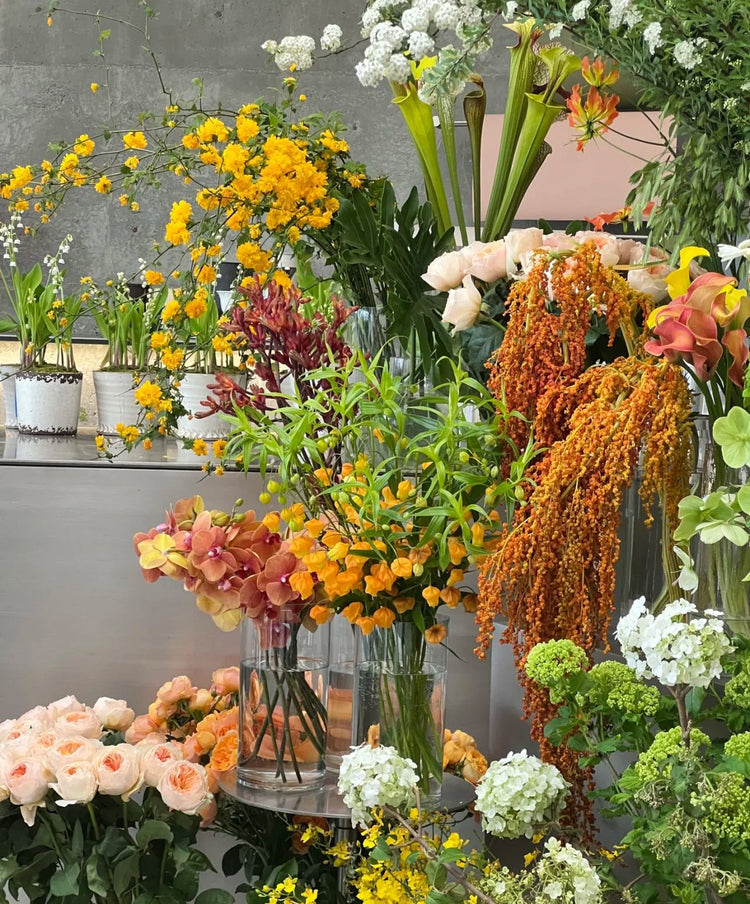 Florist Prahran, Fresh & Preserved Flowers Same Day Delivery