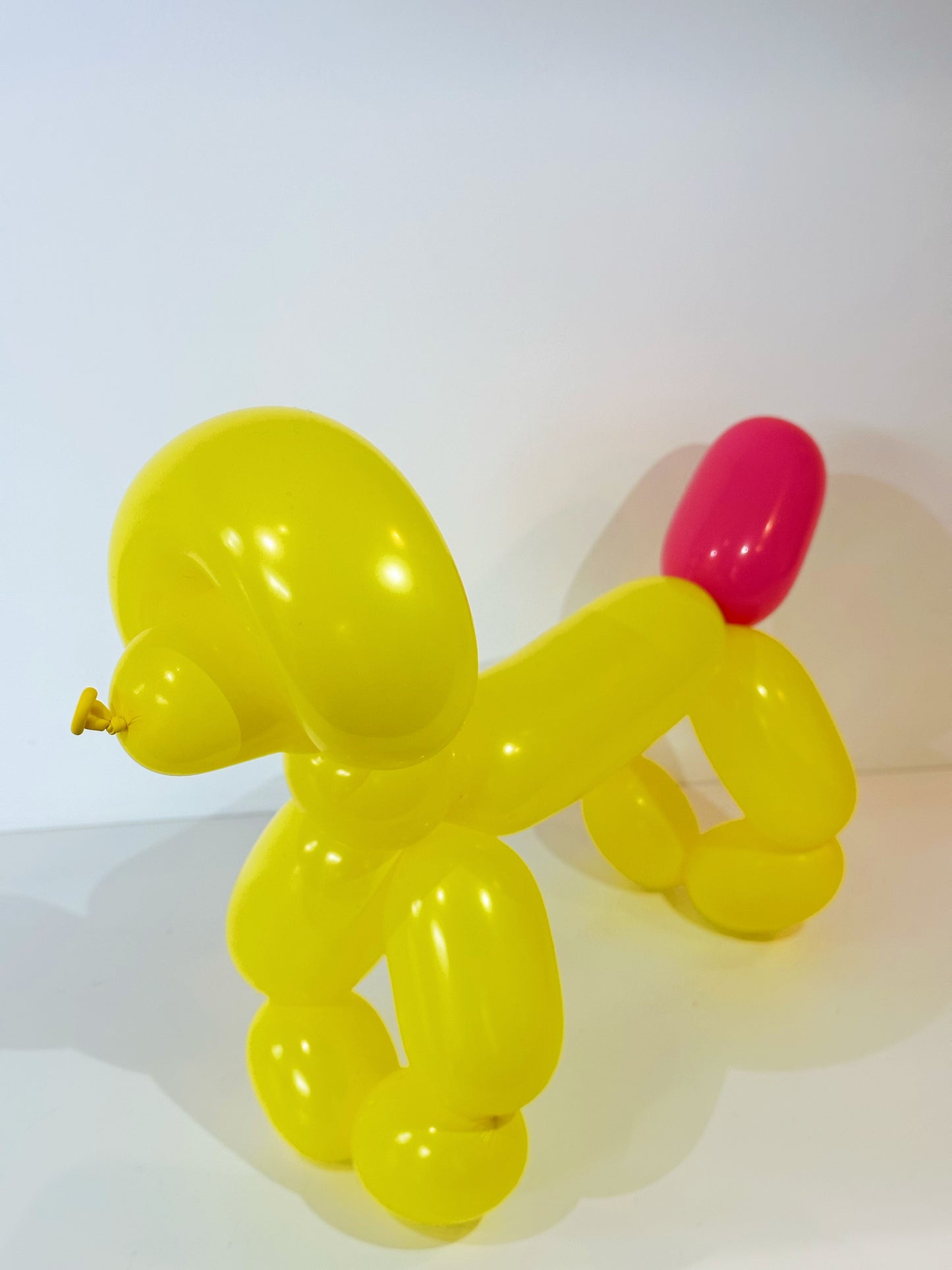 Dog Balloon