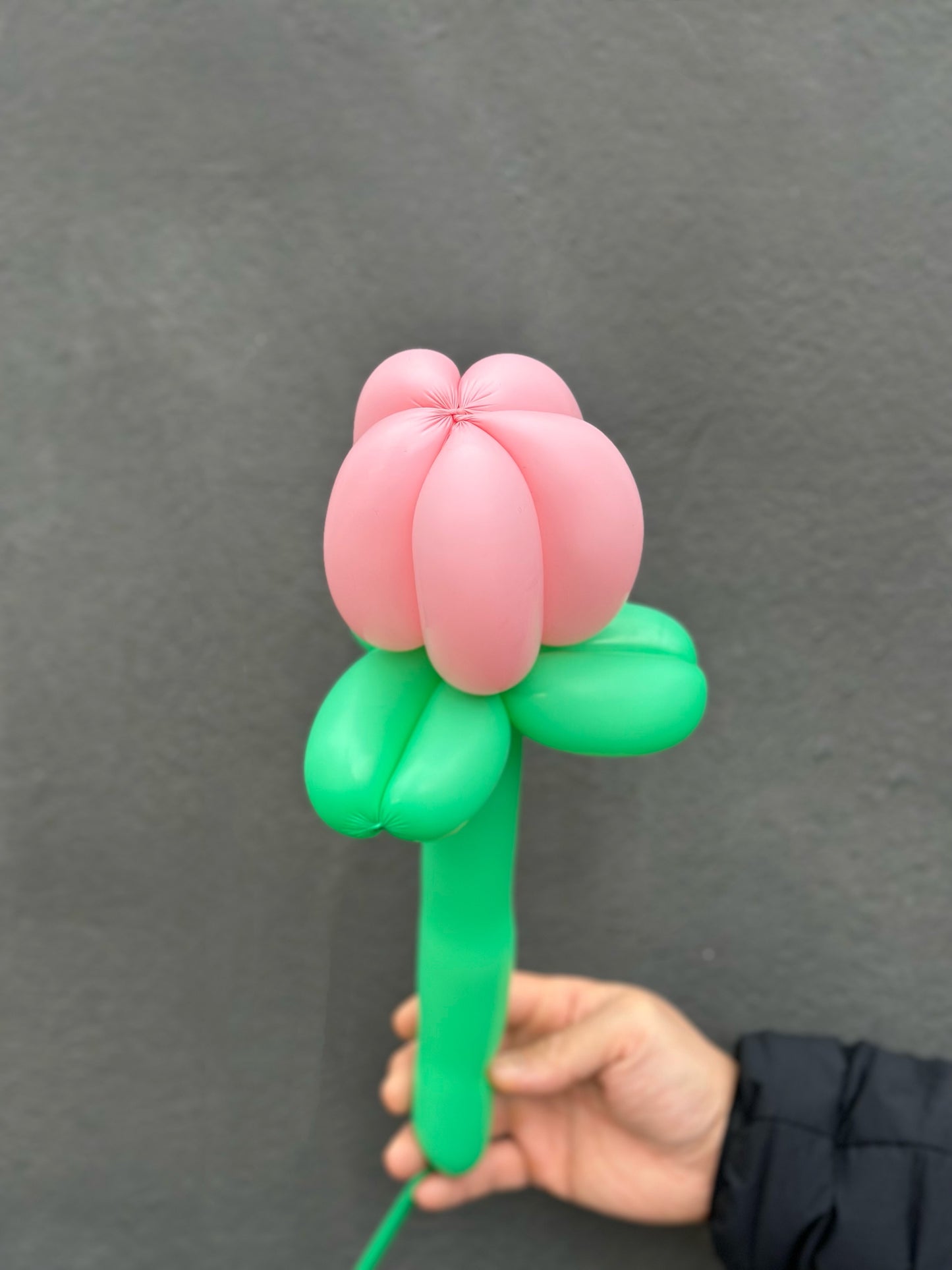 Tulip Balloon