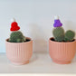 Cactus with Hat (Medium)